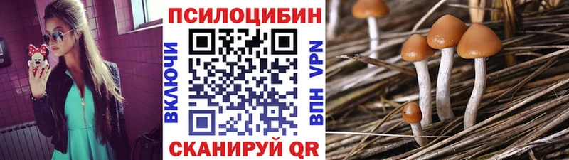 Псилоцибиновые грибы мицелий  Камызяк 